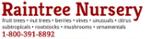 Raintree Nursery Online Coupons & Discount Codes