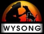 Wysong Online Coupons & Discount Codes